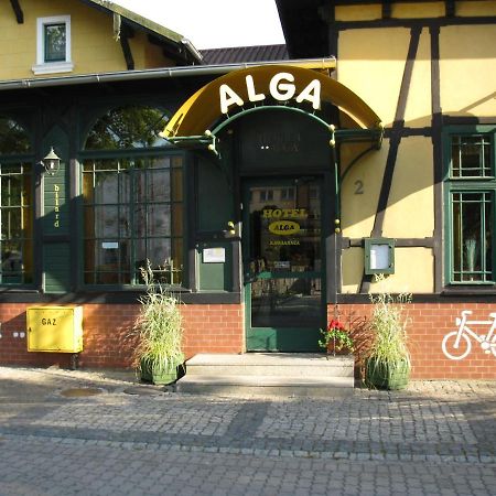 Hotel Alga 乌斯特卡 外观 照片